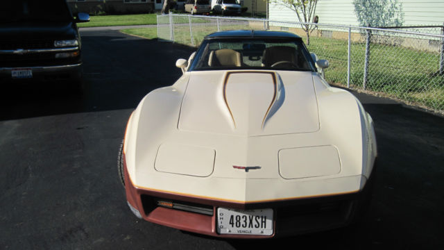 1981 Chevrolet Corvette 2-Door Coupe - photo 2