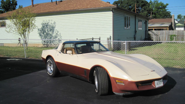 1981 Chevrolet Corvette 2-Door Coupe - photo 8