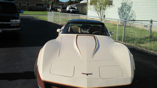 1981 Chevrolet Corvette 2-Door Coupe - photo 9