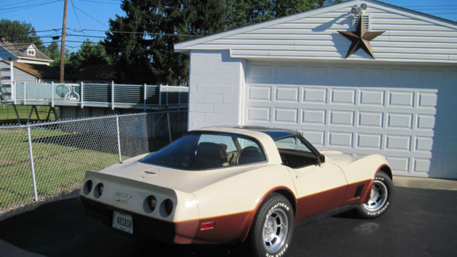 1981 Chevrolet Corvette 2-Door Coupe - photo 6