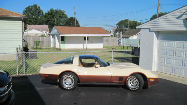 1981 Chevrolet Corvette 2-Door Coupe - photo 7