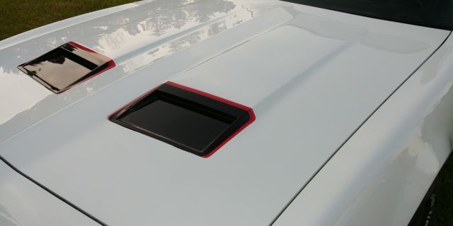 1981 Pontiac Firebird Formula - photo 11