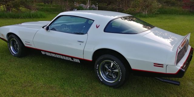 1981 Pontiac Firebird Formula - photo 5