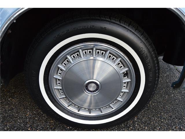 1981 Chrysler Newport Luxury - photo 7