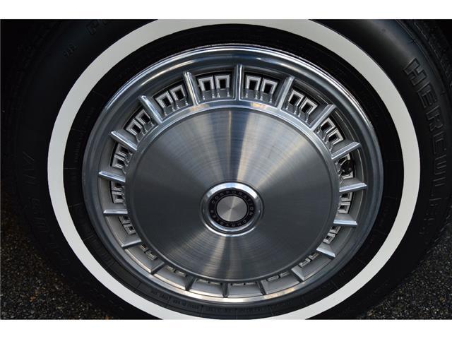 1981 Chrysler Newport Luxury - photo 8