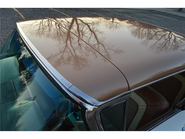 1959 Ford Galaxie Skyliner - photo 11