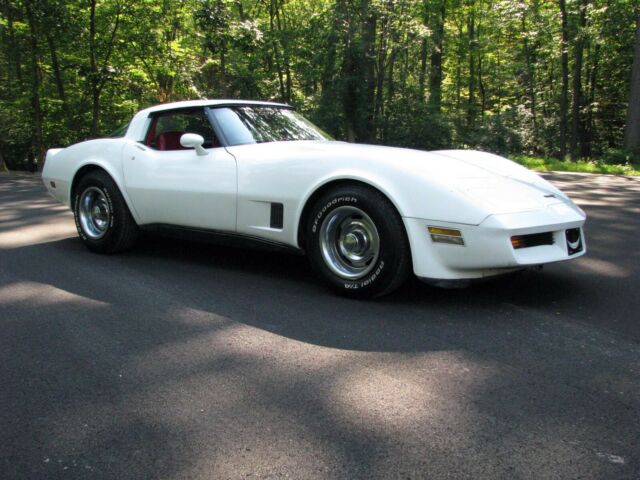 1981 Chevrolet Corvette - photo 10