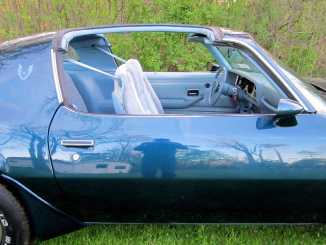 1979 Pontiac Trans Am - photo 13