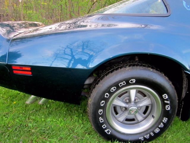 1979 Pontiac Trans Am - photo 12