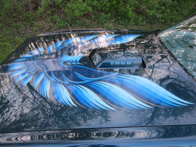 1979 Pontiac Trans Am - photo 6