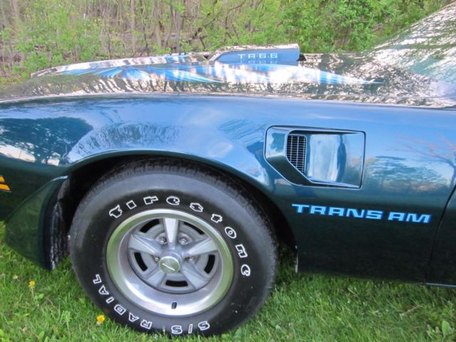 1979 Pontiac Trans Am - photo 7