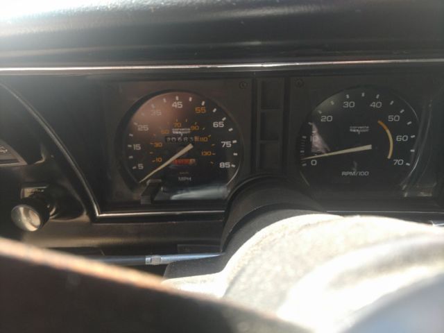 1981 Chevrolet Corvette - photo 5