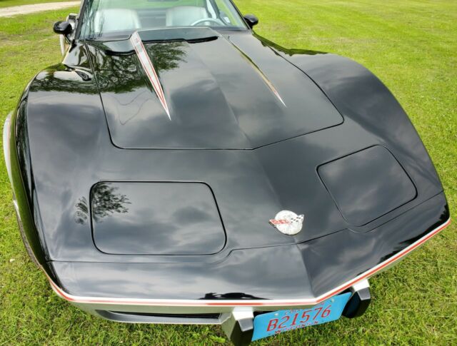 1978 Chevrolet Corvette Indy 500 Pace Car - photo 7