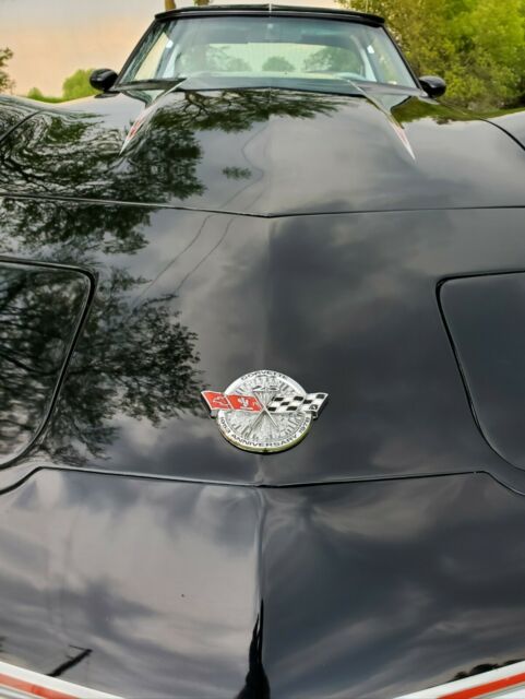1978 Chevrolet Corvette Indy 500 Pace Car - photo 9