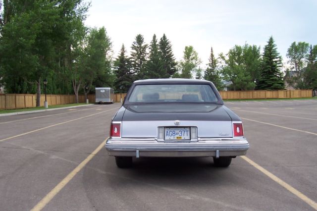 1979 Cadillac Seville Elegante - photo 5
