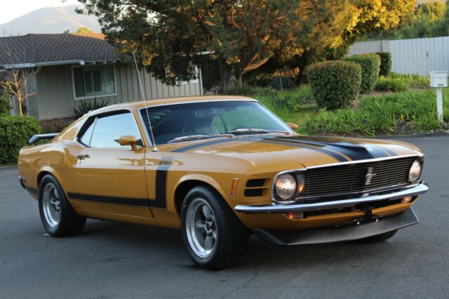 Beautiful Canyon Carving Machine! 1970 Ford Mustang BOSS 302