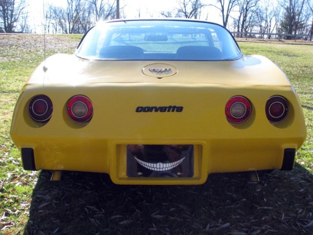 1979 Chevrolet Corvette - photo 5