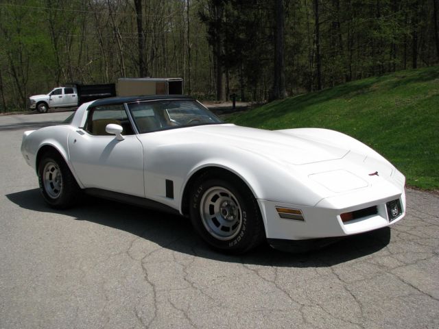 1981 Chevrolet Corvette - photo 10