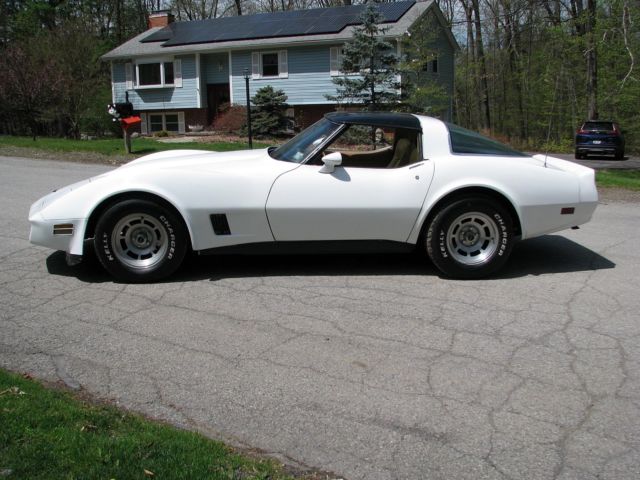 1981 Chevrolet Corvette - photo 13