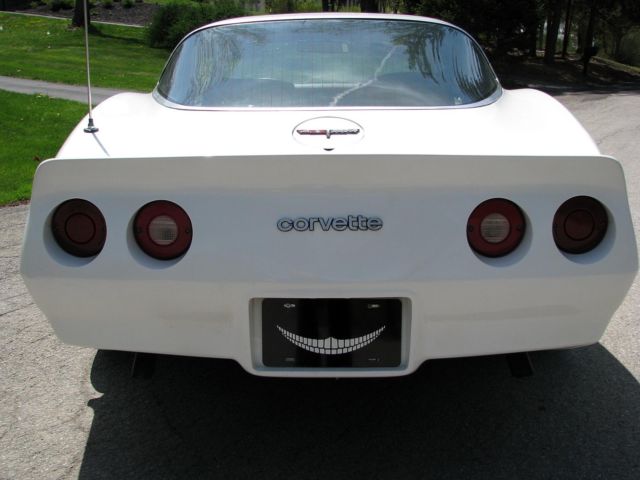 1981 Chevrolet Corvette - photo 4