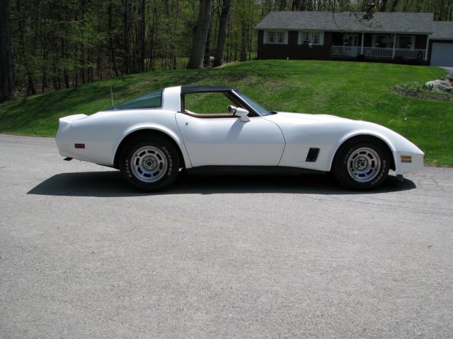 1981 Chevrolet Corvette - photo 7