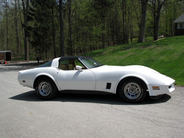 1981 Chevrolet Corvette - photo 8