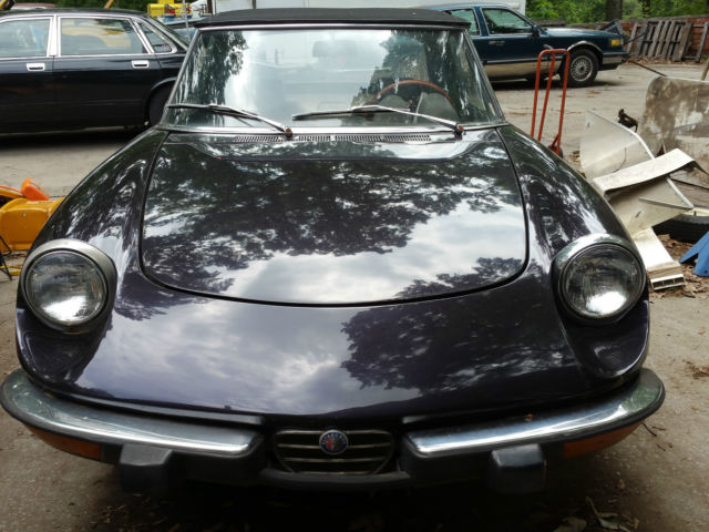 1974 Alfa Romeo Spider Veloce - photo 3