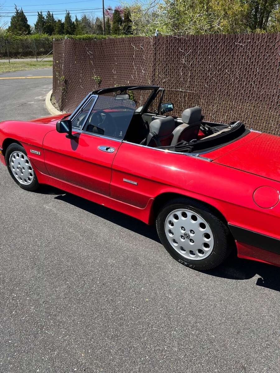 1987 Alfa Romeo Spider Quadrifoglio - photo 13