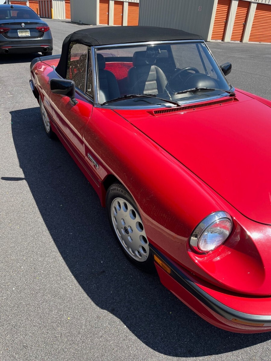 1987 Alfa Romeo Spider Quadrifoglio - photo 3