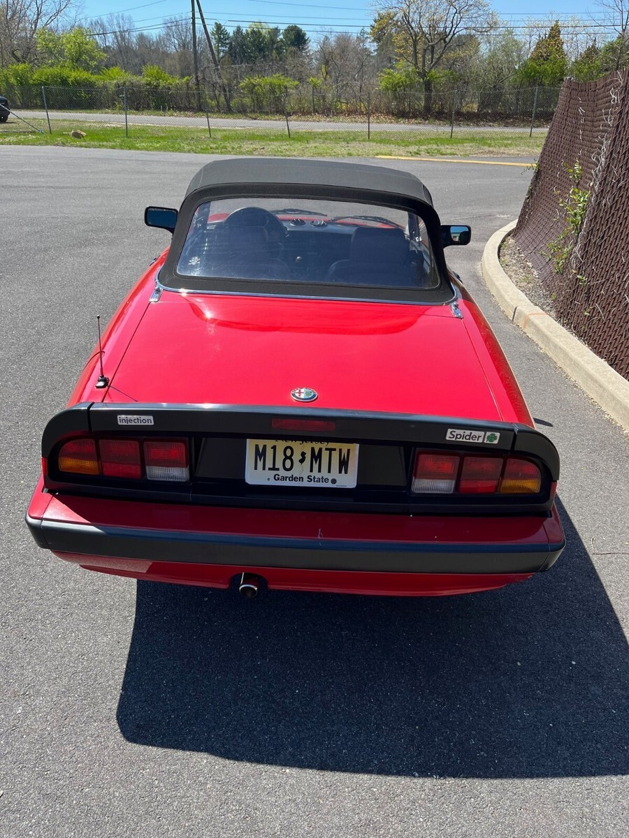 1987 Alfa Romeo Spider Quadrifoglio - photo 5