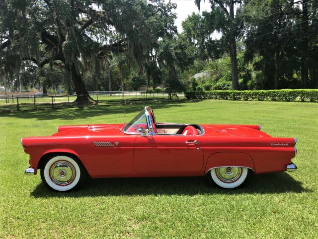 Beautiful original steel body 1955 Ford Thunderbird with updates (1956 1957) 1955 Ford Thunderbird 2 Door Convertible