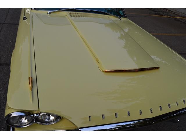 1964 Ford Thunderbird Landau - photo 3