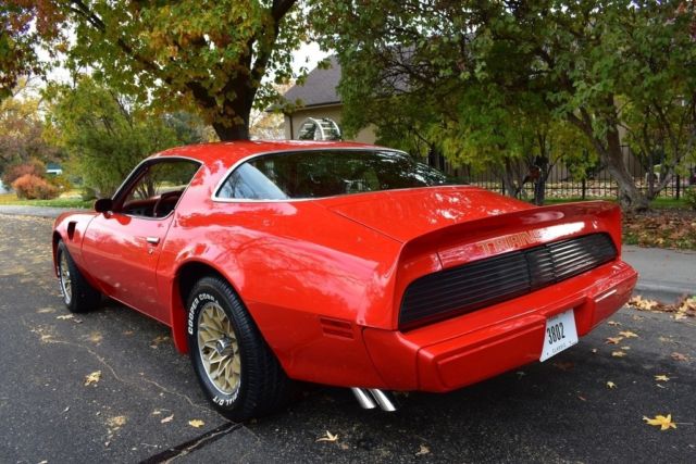 1979 Pontiac Firebird Trans Am - photo 10