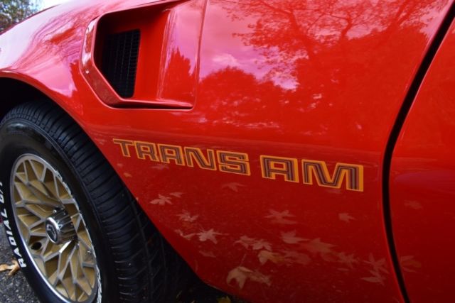 1979 Pontiac Firebird Trans Am - photo 11