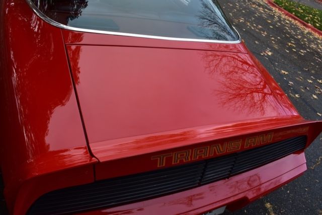 1979 Pontiac Firebird Trans Am - photo 12