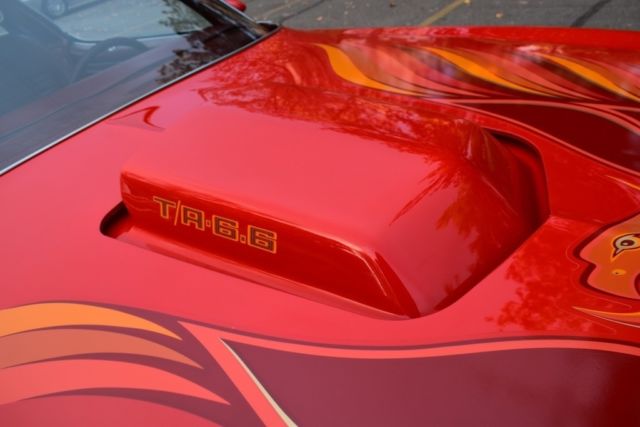1979 Pontiac Firebird Trans Am - photo 3