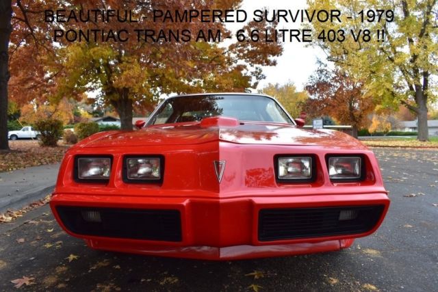 1979 Pontiac Firebird Trans Am - photo 5