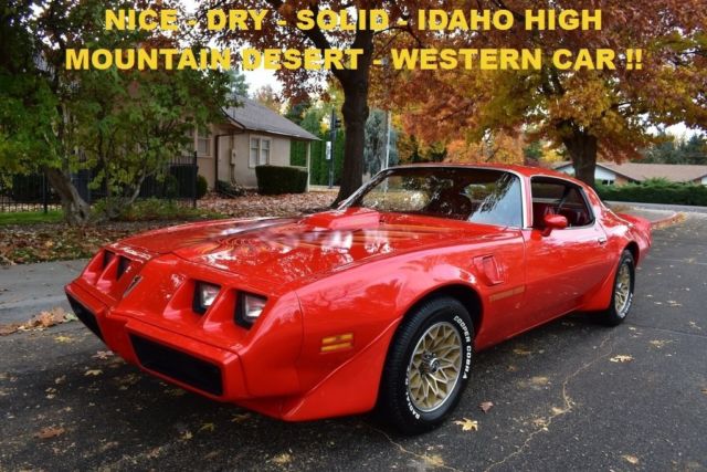 1979 Pontiac Firebird Trans Am - photo 6