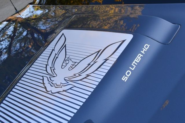 1984 Pontiac Firebird Trans Am - photo 8