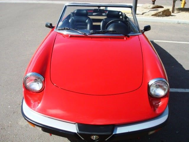 1989 Alfa Romeo Spider Graduate - photo 11