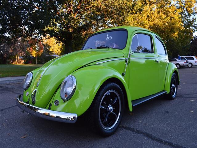 1959 Volkswagen Beetle-New --
