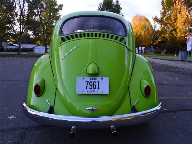 1959 Volkswagen Beetle-New -- - photo 10
