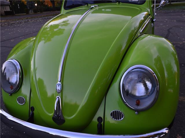 1959 Volkswagen Beetle-New -- - photo 2