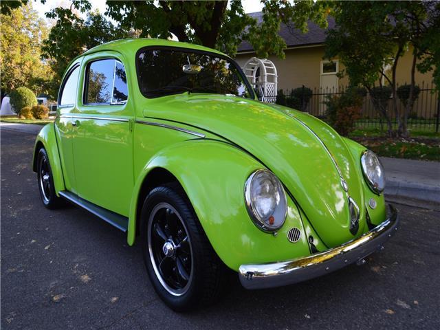 1959 Volkswagen Beetle-New -- - photo 4
