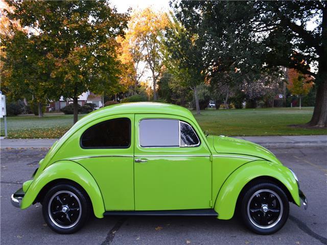 1959 Volkswagen Beetle-New -- - photo 6