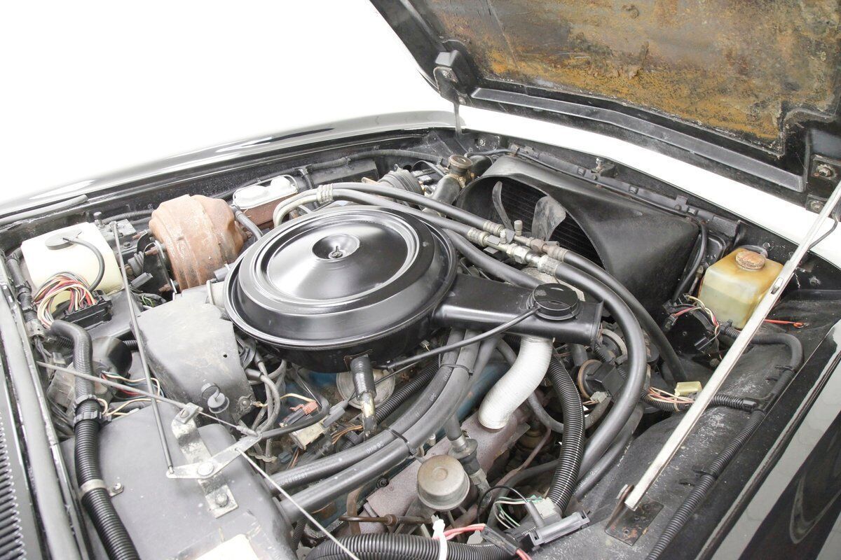 1982 Avanti Avanti II Coupe - photo 10