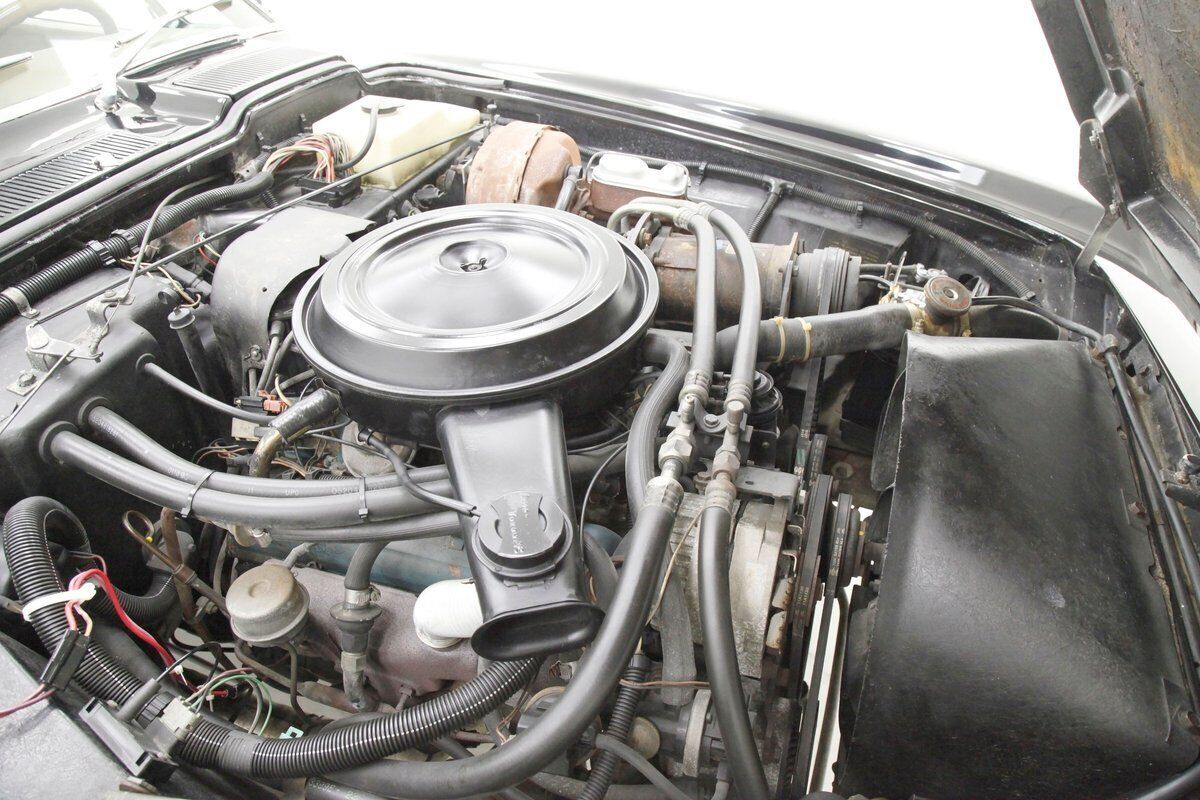 1982 Avanti Avanti II Coupe - photo 11