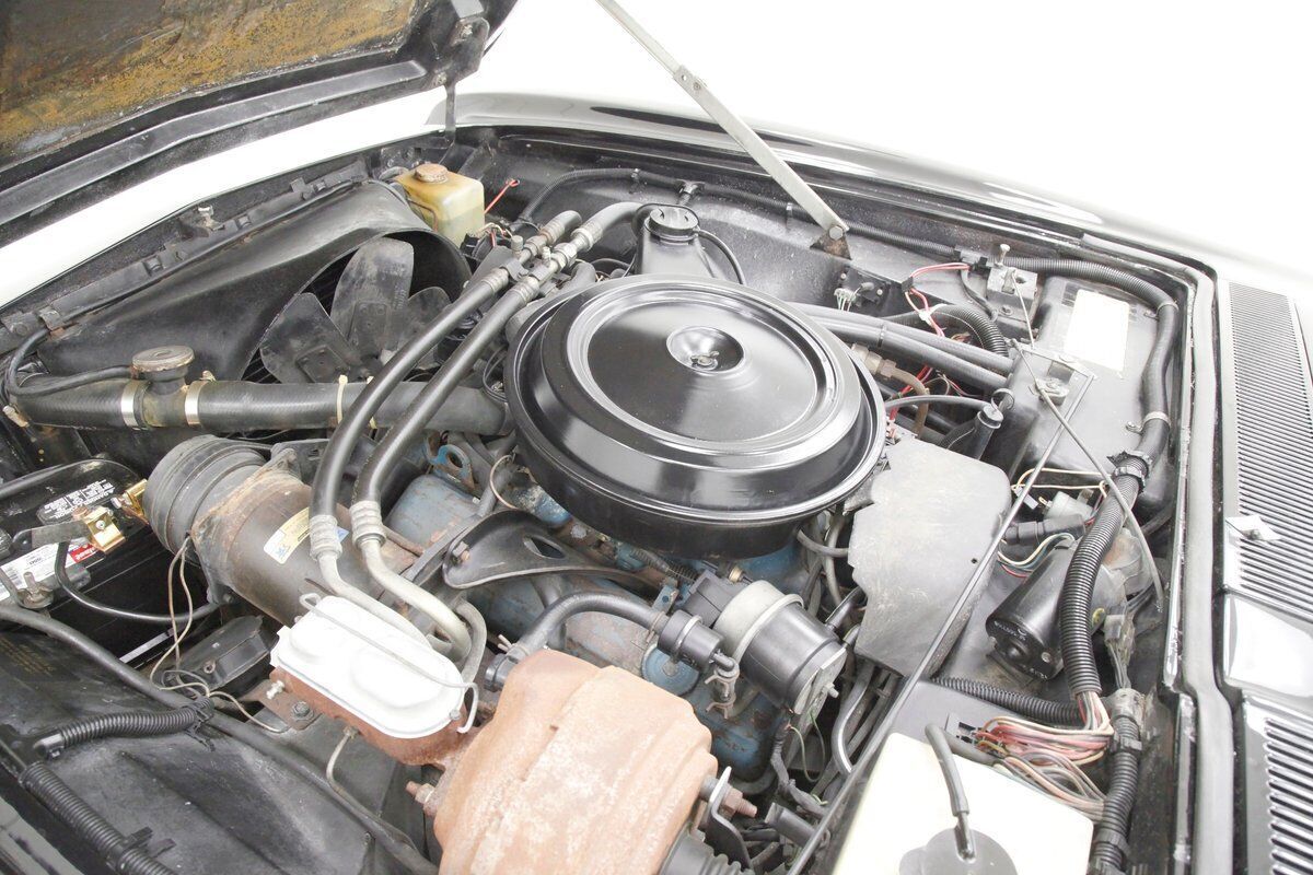 1982 Avanti Avanti II Coupe - photo 9