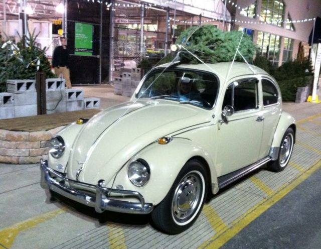 1967 Volkswagen Beetle - Classic Beetle - photo 2