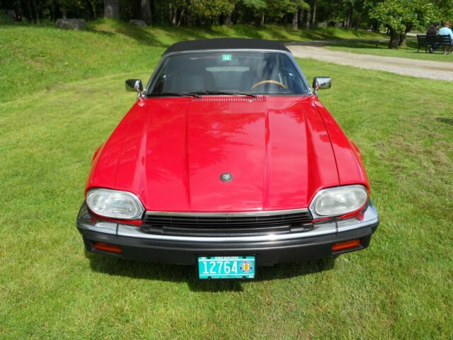 1993 Jaguar XJS with 5 speed manual transmission. NO RESERVE! - photo 7